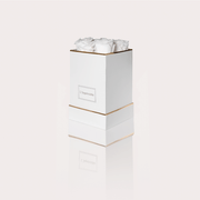 COFFRET ÉTERNEL COLLIER - L'Imprévisible